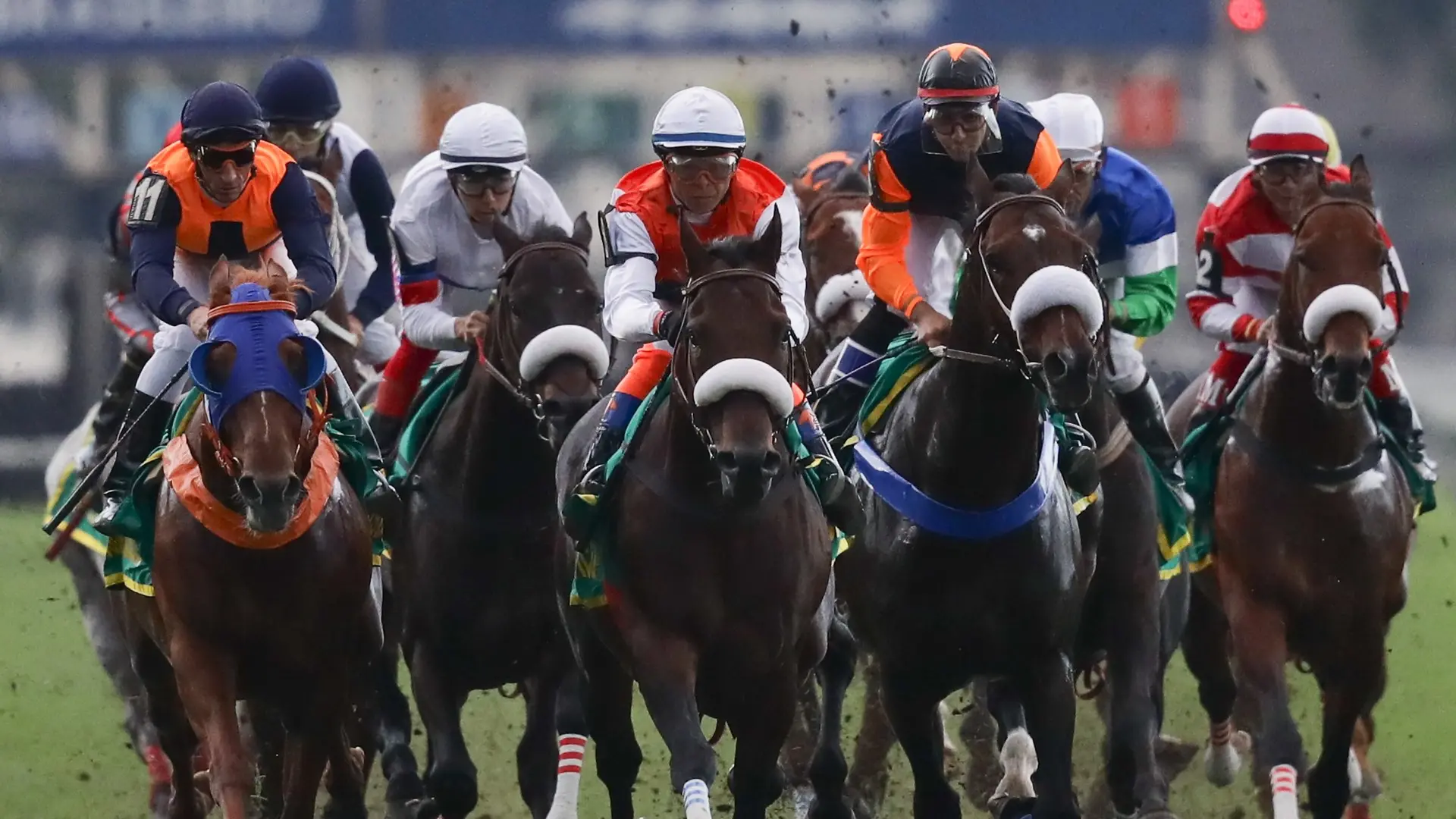 Fãs franceses da modalidade apostaram mais de um milhão de euros em páreos do Hipódromo da Gávea no último fim de semana