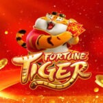 fortune tiger